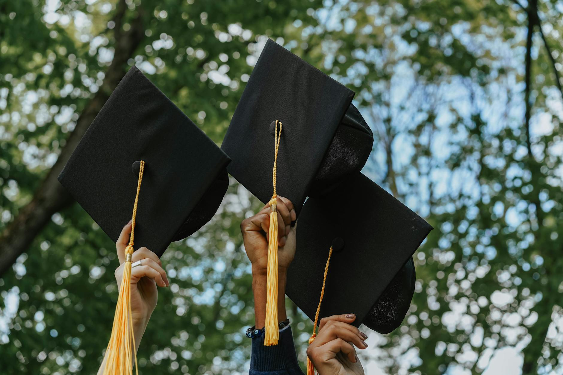 Career Prospects and Job Market
